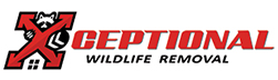 South Fulton Wildlife Removal